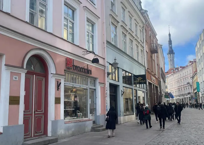 Apartamento Antique Aparment In Old Town *