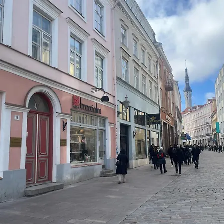 Apartamento Antique Aparment In Old Town *
